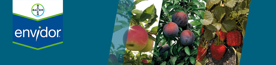 Bayer CropScience Norge